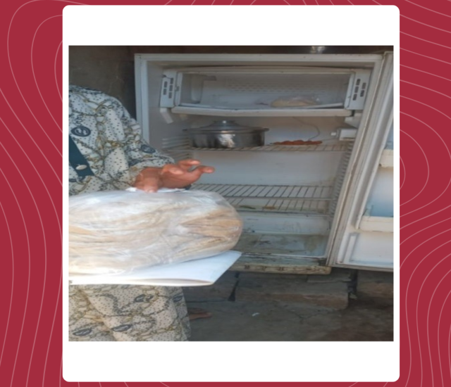 هويدا عبداللطيف